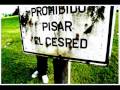 La Vela Puerca-Burbujas 