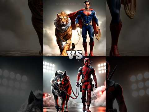 Superman and Pet Tiger vs Avengers vs DC: Wild Animal Pets Battle(Spiderman,Deadpool,Venom,Hulk)