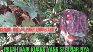 Download lagu KING DEER FINALLY CAME WHEN CALLED mp3 Download lagu KING DEER FINALLY CAME WHEN CALLED mp3