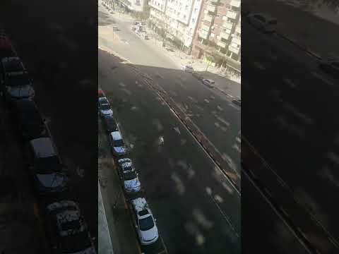 AVENIDA LIBERTADOR Brig General LAVALLEJA, MONTEVIDEO.