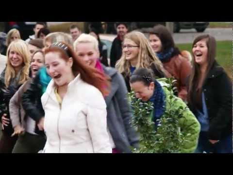 Gangnam Style - Hatvan Style