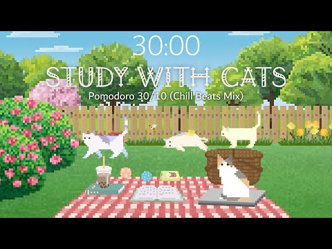 Study with Cats 🐝 Animation x Pomodoro 30/10 | Spring Study in the Backyard 🌳 | Chill Beats Mix