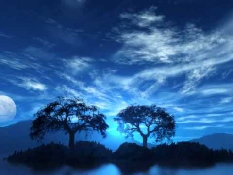 Freaked Frequency - Landing