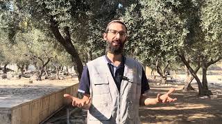 יצחק קראו שדה | הרב רועי זאגא (ישיבת הר הבית) - התמונה מוצגת ישירות מתוך אתר האינטרנט יוטיוב. זכויות היוצרים בתמונה שייכות ליוצרה. קישור קרדיט למקור התוכן נמצא בתוך דף הסרטון