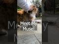 Meet my watercolor muse - dilute calico cat art