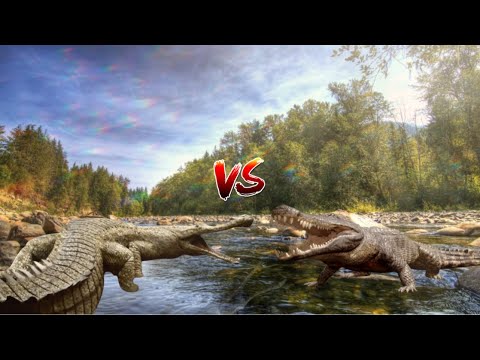 Sarcosuchus vs Deinosuchus