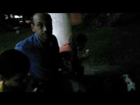 Nivi Subash Mohan enjoying ice-cream with cats sep 2018