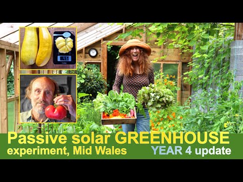 Is it worth it…? | 4 YEARS of passive solar GREENHOUSE growing