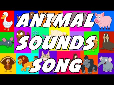 Animal Sound Song | These Are The Sounds That Animals Make | Original Songs For Kids
