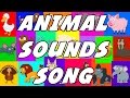 Animal Sound Song These Are The Sounds That Animals Make Original Songs For Kids