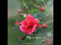 Intha Mamanoda Manasu Tamil WhatsApp Status Song