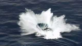 Heartbeat of Mother Earth