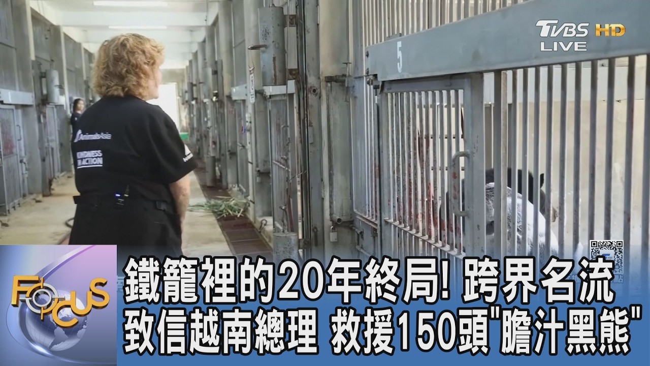 鐵籠裡的20年終局!跨界名流致信越南總理 救援150頭「膽汁黑熊」