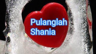 Download lagu Pulanglah   shania mp3