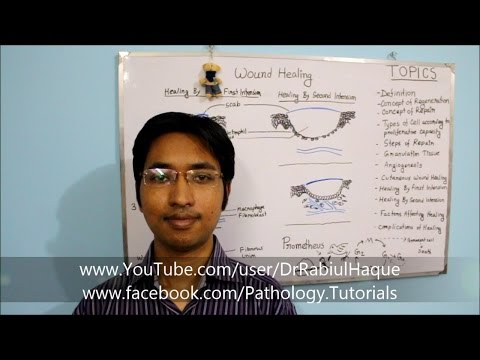 Wound Healing: Part 1 - Concept of Regeneration, Repair, Granulation Tissue & Angiogenesis (HD)