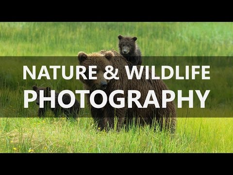 TheFIX 051: Nature & Wildlife Photography with Lewis Kemper