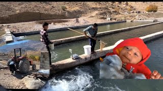 Ali's life in the cold mountain #sorayya #plerd #love #news #travel