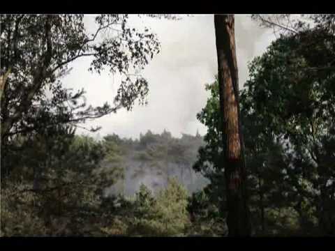 Grote bermbrand op A28 Nunspeet / 't Harde