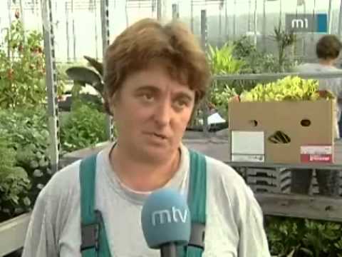 MTV videótár - Debreceni Regionális Híradó, TÁMOP-tájékoztatás