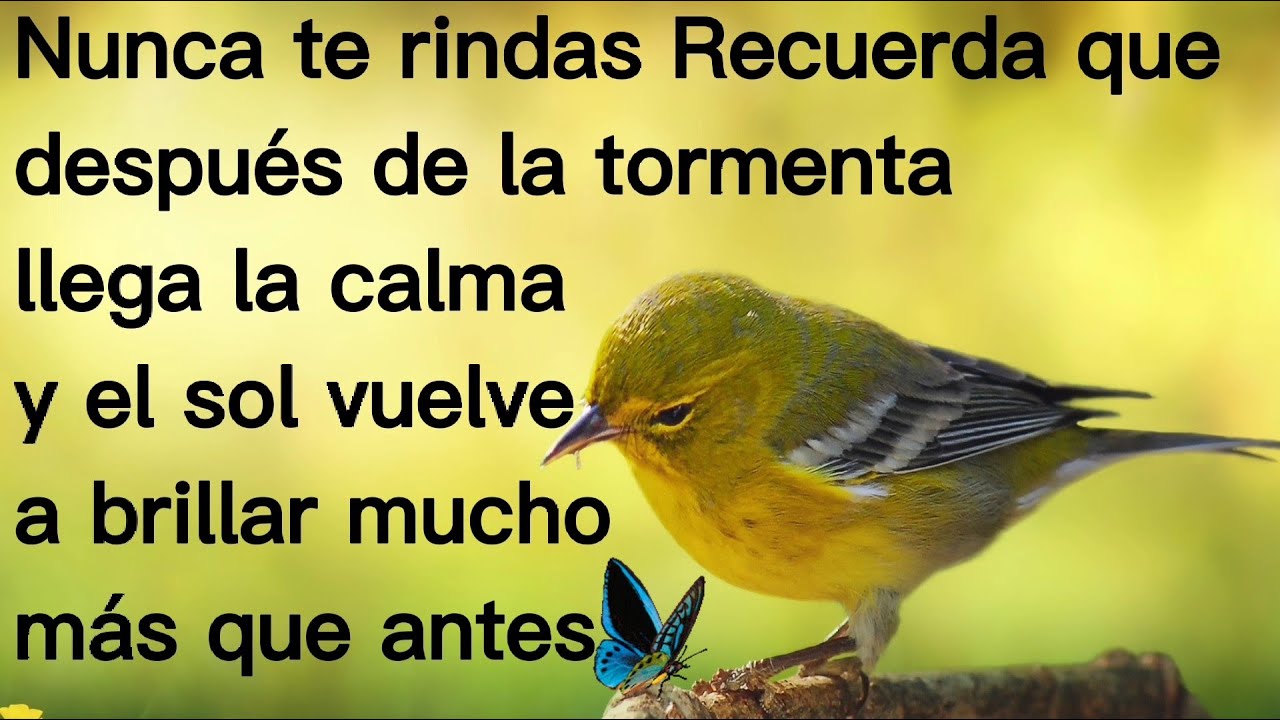 🦋Nunca te rindas que después de la tormenta llega la calma