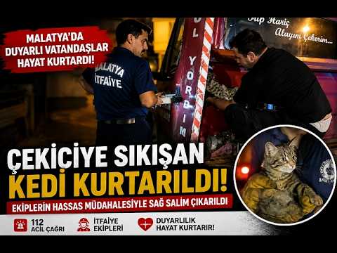 Malatya’da Çekiciye Sıkışan Kedi Kurtarıldı