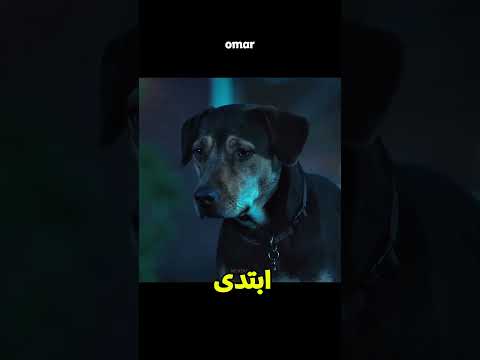 الكلب مش عارف معنى الحرية😱