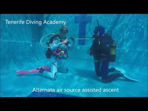 PADI Divemaster / PADI Instructor Skills - Alternate air source assisted ascent