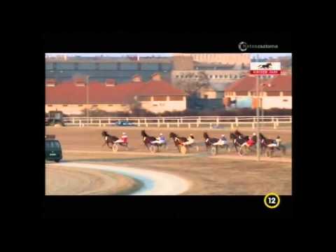 Lósport, ügető:    Az elmúlt hétvége legjobb ügetőfutamai