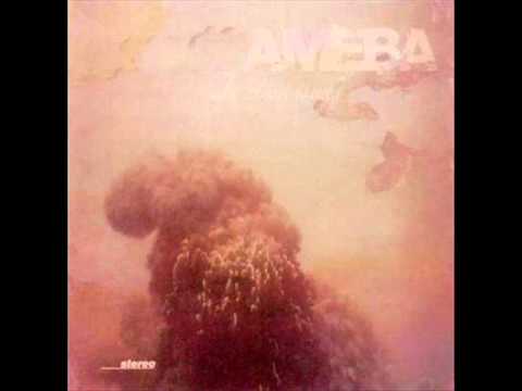 Ameba - Bare witness