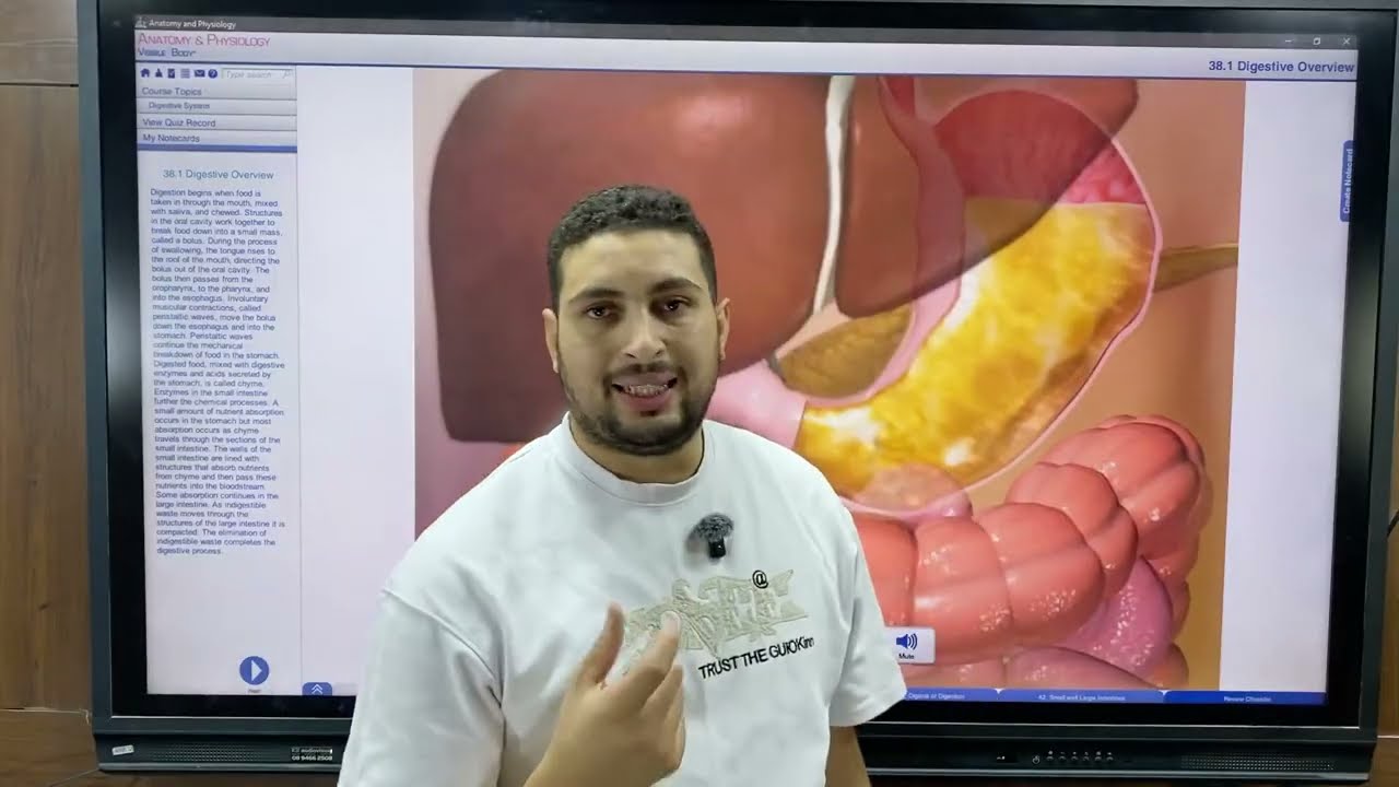 هرمونات البنكرياس والقناة الهضمية والغدد التناسلية ختام التنسيق الهرموني أ?