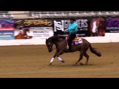 Custom Spook  ridden by Andrea Fappani - 2015 NRBC(Open Challenge)