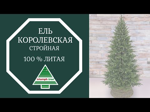 Триумф ель Королевская стройная 100% литая 185 см зеленая - Видео 1