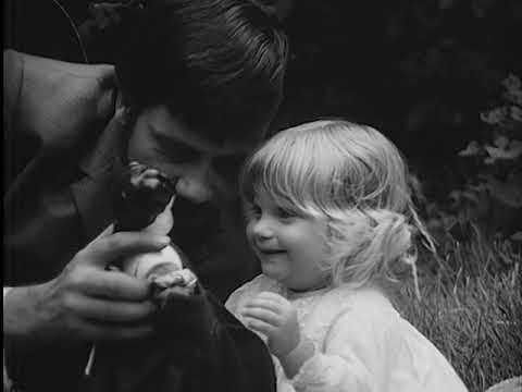 Clip from The Debussy Film (1965)