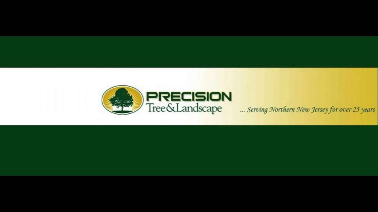 Precision Tree & Landscape LLC