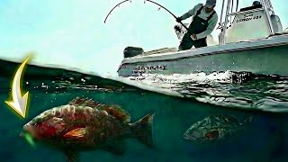 This Lure Should Be ILLEGAL… Offshore Fishing Was TOO EASY (Florida)