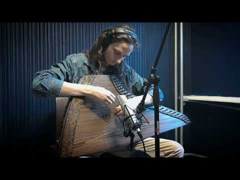 Toss A Coin To Your Witcher - gusli/slavic harp cover