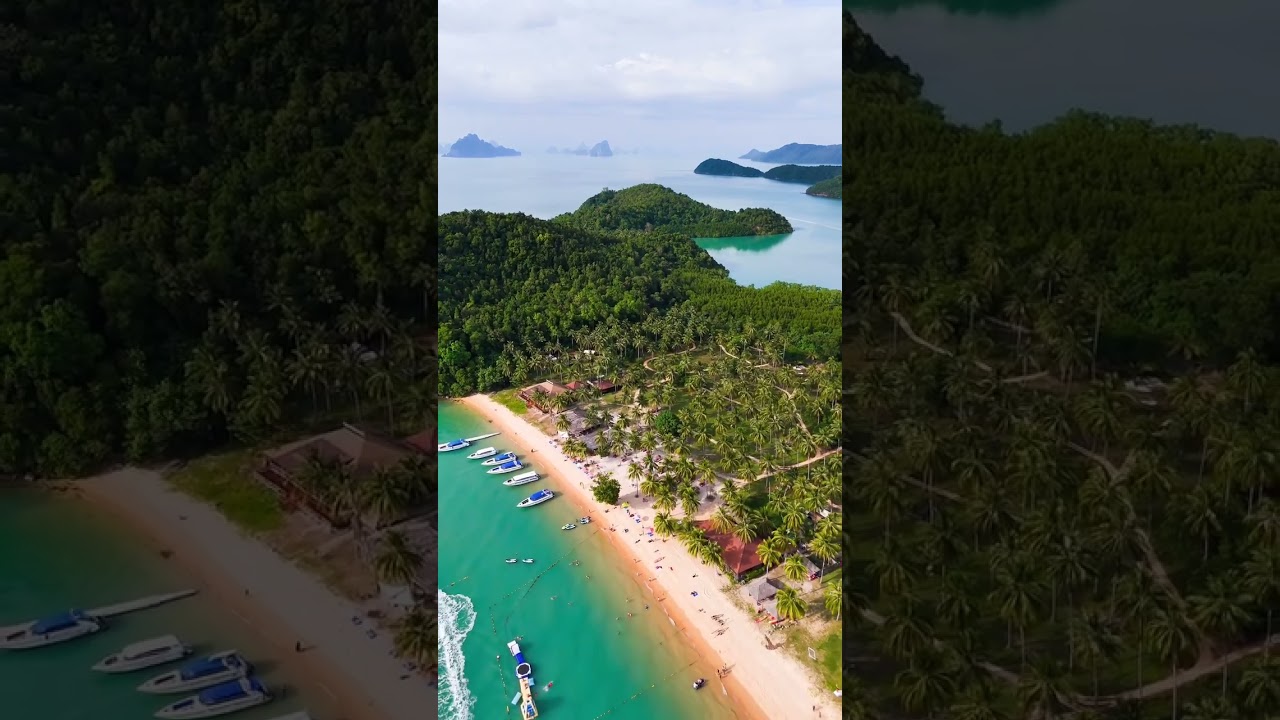 YouTube Short thumbnail