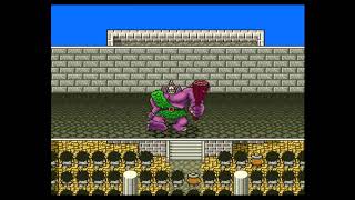 0207金UP!!【初見実況？】ドラゴンクエスト5【SFC】#29