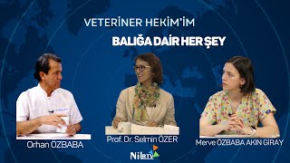 VETERİNER HEKİMİM & Orhan ÖZBABA & Merve ÖZBABA AKINGİRAY & Prof. Dr. Selmin ÖZE