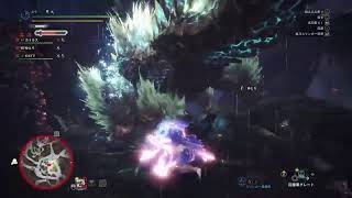 MHW　IB　44