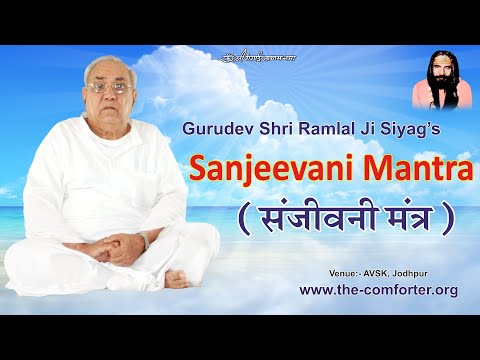 Gurudev Siyag Siddha Yoga