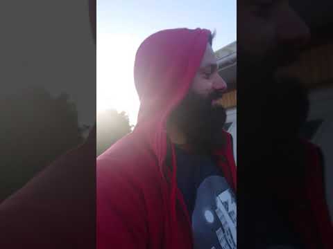 Domek dla kotów 😸