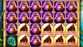 BIG WIN on KONG WONDER WILDS Slot! 🎰 Giant Wilds & Jungle Bonus Madness!