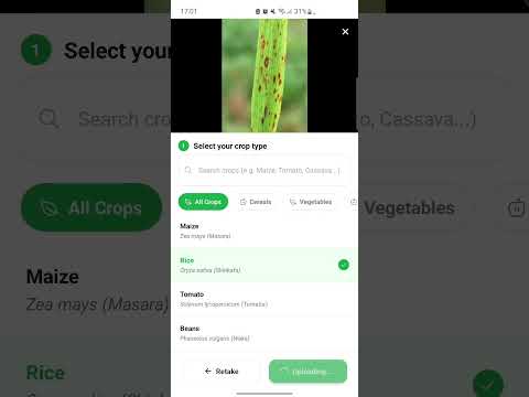 NomaApp AI: Crop Doctor video thumbnail