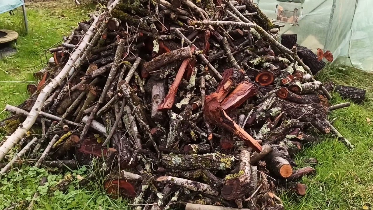 Comment avoir du Bois de chauffage gratuitement