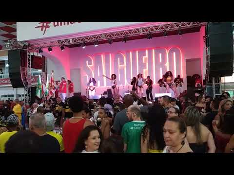 São Clemente, samba de 2004