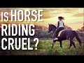 Is Horse Riding Cruel Is It Vegan