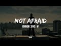 Eminem Feat 2Pac NF Not Afraid HUD ON