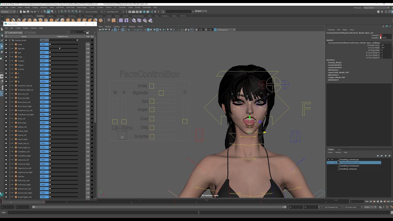 Female Base Model Rig 3D Model