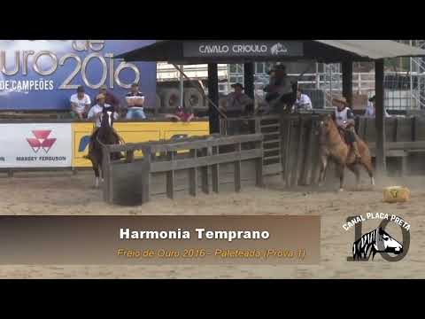 Harmonia Temprano   Paleteada Prova 1